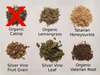 Catnip-Alternative Mouse Sample Pack
