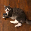 Complete Cat-Herb Mouse Sample Pack